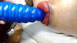 INSERTION