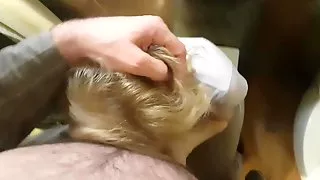 I finished inside her mouth