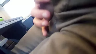 Flash dick on train for granny