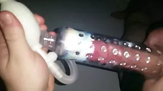 Swiss Dick