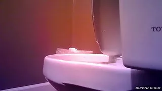 Office Toilet