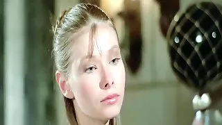Sugar Cookies - 1973