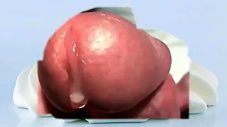 Cumshot - Nah ran an die Sahne